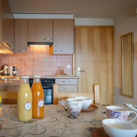 Seya 21 By Interhome Apartamento Ovronnaz