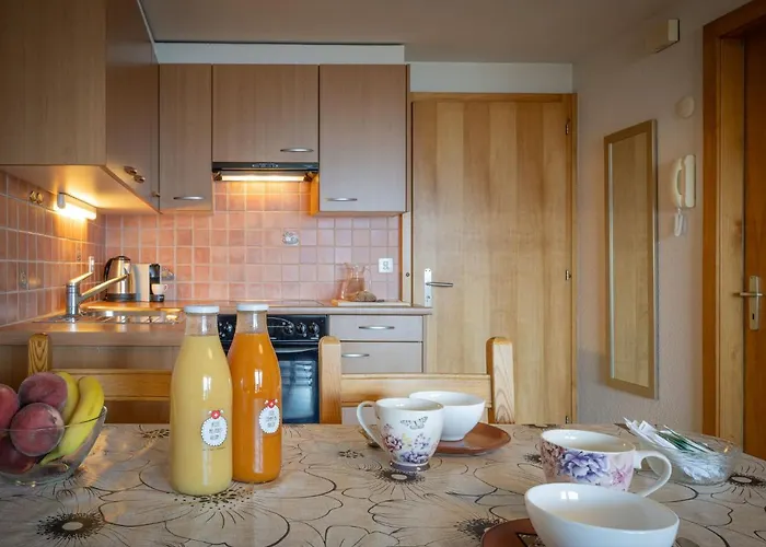 Seya 21 By Interhome Lejlighed Ovronnaz
