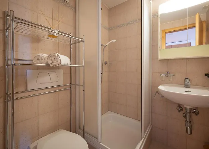 Seya 21 By Interhome * Ovronnaz