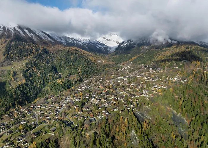 Seya 21 By Interhome * Ovronnaz